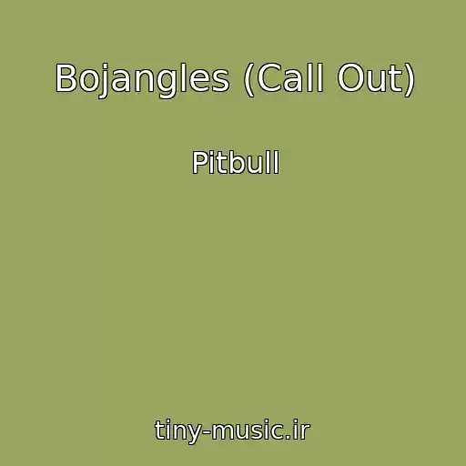 کاور آهنگ Bojangles (Call Out) از Pitbull