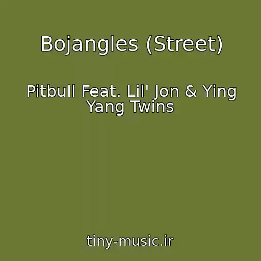 کاور آهنگ Bojangles (Street) از Pitbull Feat. Lil' Jon & Ying Yang Twins