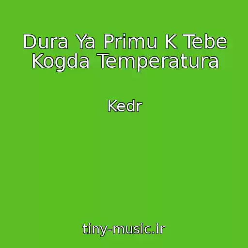 کاور آهنگ Dura Ya Primu K Tebe Kogda Temperatura از Kedr