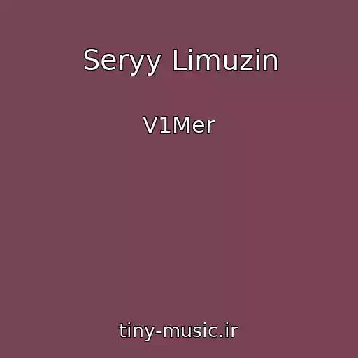 کاور آهنگ Seryy Limuzin از V1Mer