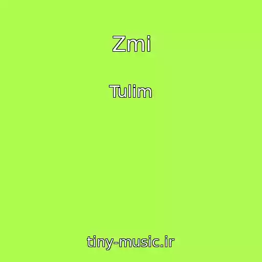 کاور آهنگ Zmі از Tulim