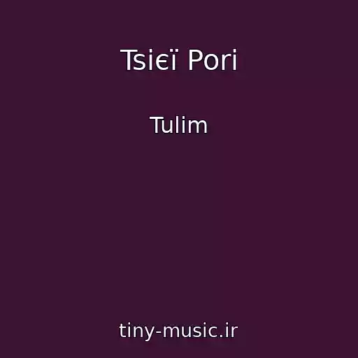 کاور آهنگ Tsієї Pori از Tulim