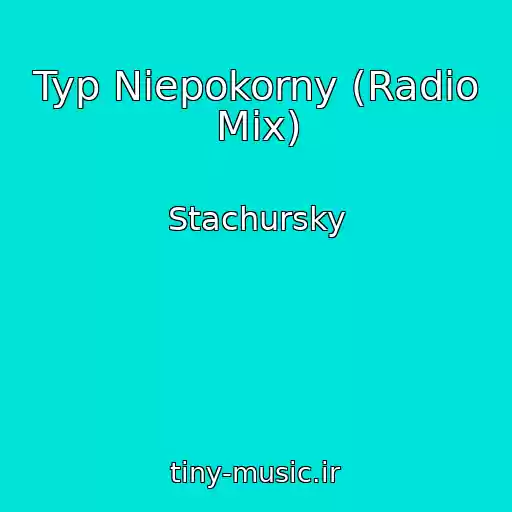 کاور آهنگ Typ Niepokorny (Radio Mix) از Stachursky