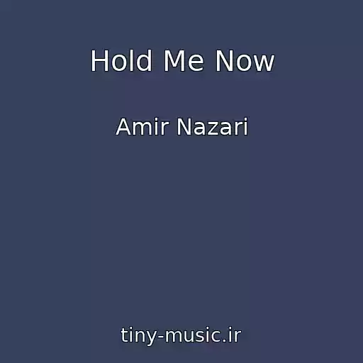 کاور آهنگ Hold Me Now از Amir Nazari