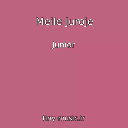 کاور آهنگ Meile Juroje از Junior