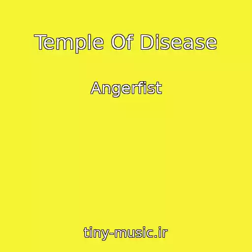 کاور آهنگ Temple Of Disease از Angerfist