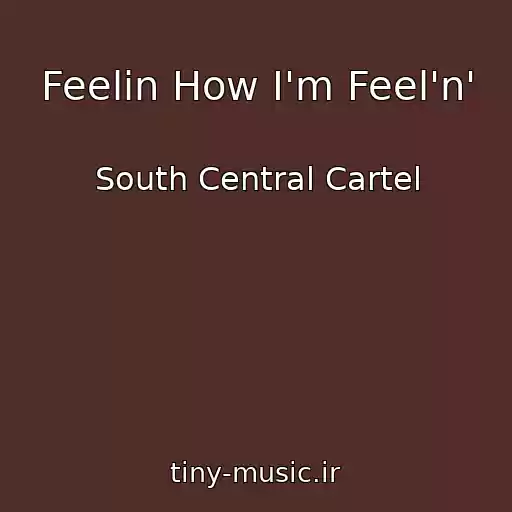 کاور آهنگ Feelin How I'm Feel'n' از South Central Cartel