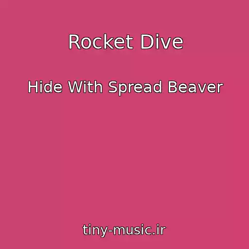 کاور آهنگ Rocket Dive از Hide With Spread Beaver