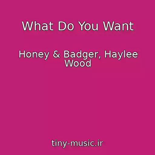 کاور آهنگ What Do You Want از Honey & Badger, Haylee Wood