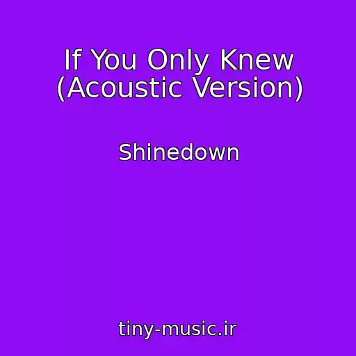 کاور آهنگ If You Only Knew (Acoustic Version) از Shinedown