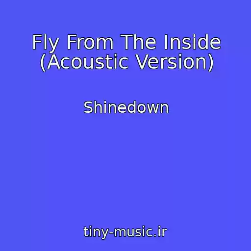 کاور آهنگ Fly From The Inside (Acoustic Version) از Shinedown