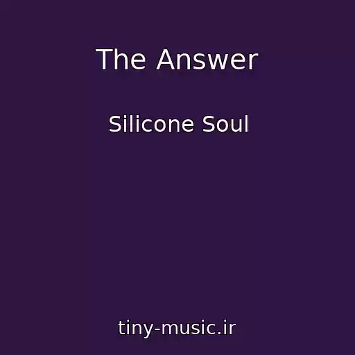 کاور آهنگ The Answer از Silicone Soul
