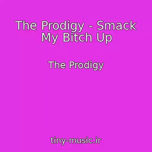 کاور آهنگ The Prodigy - Smack My Bitch Up از The Prodigy