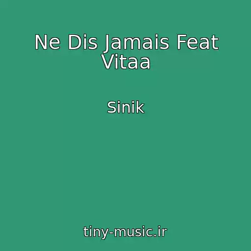 کاور آهنگ Ne Dis Jamais Feat Vitaa از Sinik