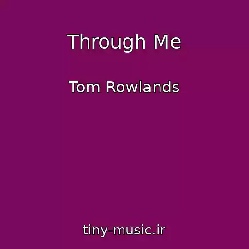 کاور آهنگ Through Me از Tom Rowlands