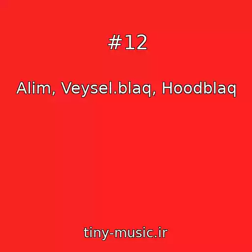 کاور آهنگ #12 از Alim, Veysel.blaq, Hoodblaq