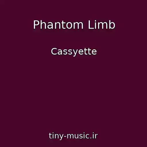 کاور آهنگ Phantom Limb از Cassyette