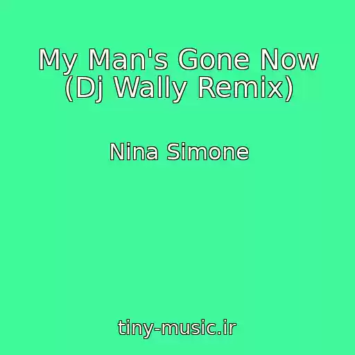 کاور آهنگ My Man's Gone Now (Dj Wally Remix) از Nina Simone