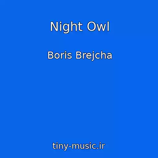 کاور آهنگ Night Owl از Boris Brejcha