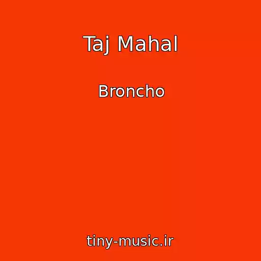 کاور آهنگ Taj Mahal از Broncho