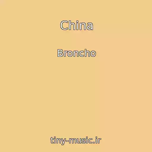 کاور آهنگ China از Broncho