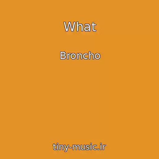 کاور آهنگ What از Broncho