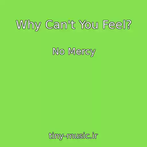 کاور آهنگ Why Can't You Feel? از No Mercy