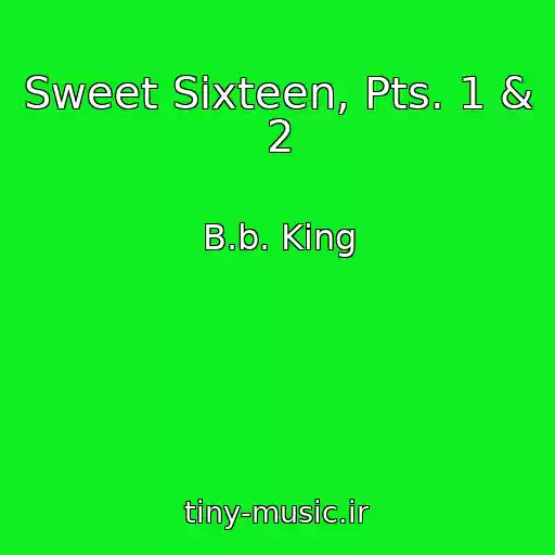 کاور آهنگ Sweet Sixteen, Pts. 1 & 2 از B.b. King