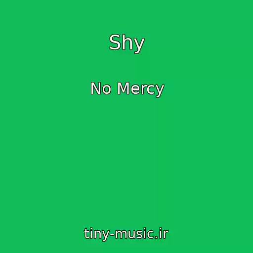 کاور آهنگ Shy از No Mercy