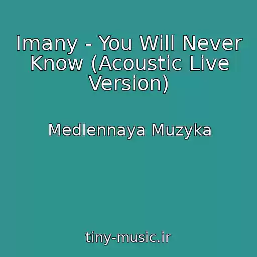 کاور آهنگ Imany - You Will Never Know (Acoustic Live Version) از Medlennaya Muzyka
