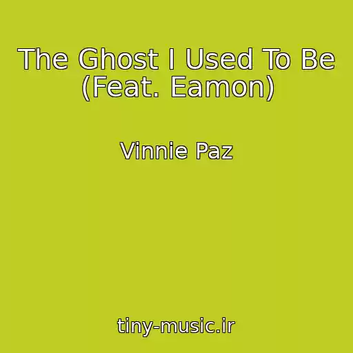 کاور آهنگ The Ghost I Used To Be (Feat. Eamon) از Vinnie Paz