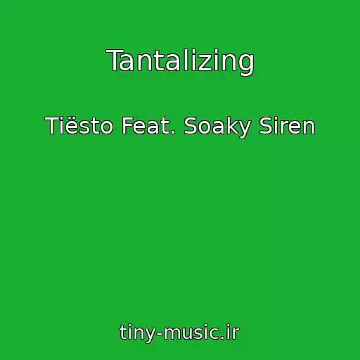 کاور آهنگ Tantalizing از Tiësto Feat. Soaky Siren