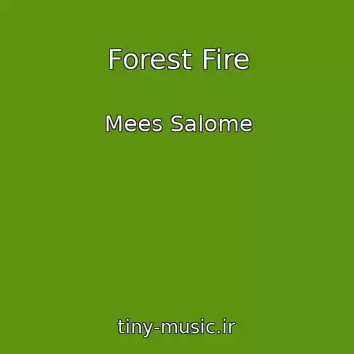 کاور آهنگ Forest Fire از Mees Salome