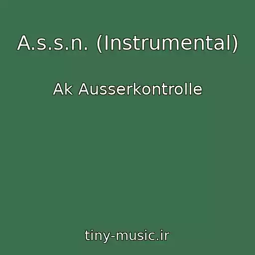 کاور آهنگ A.s.s.n. (Instrumental) از Ak Ausserkontrolle