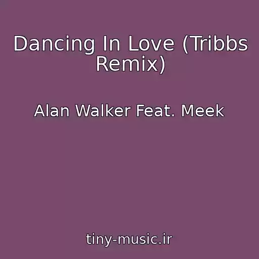 کاور آهنگ Dancing In Love (Tribbs Remix) از Alan Walker Feat. Meek