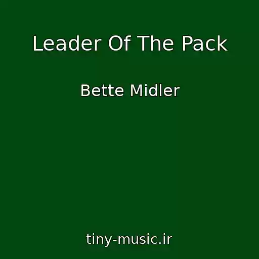 کاور آهنگ Leader Of The Pack از Bette Midler