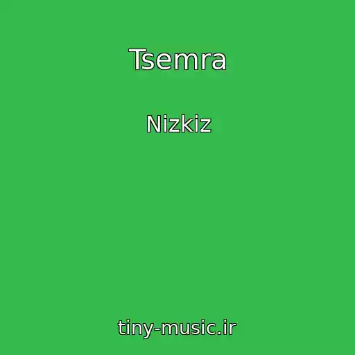 کاور آهنگ Tsemra از Nizkiz