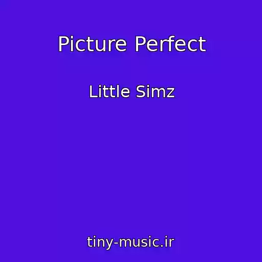 کاور آهنگ Picture Perfect از Little Simz