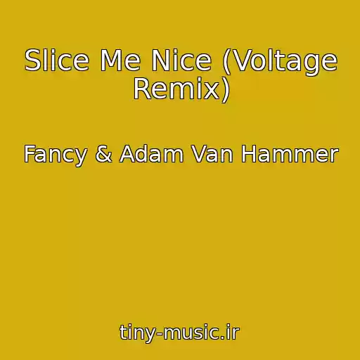 کاور آهنگ Slice Me Nice (Voltage Remix) از Fancy & Adam Van Hammer