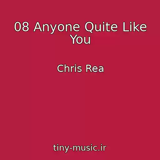 کاور آهنگ 08 Anyone Quite Like You از Chris Rea
