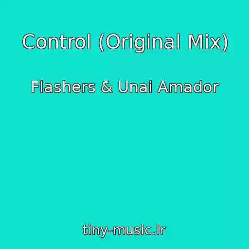 کاور آهنگ Control (Original Mix) از Flashers & Unai Amador