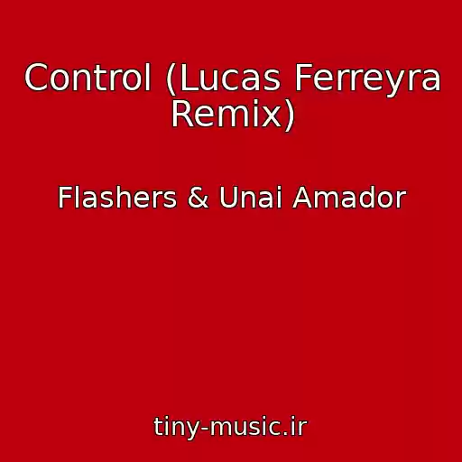 کاور آهنگ Control (Lucas Ferreyra Remix) از Flashers & Unai Amador