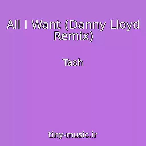 کاور آهنگ All I Want (Danny Lloyd Remix) از Tash