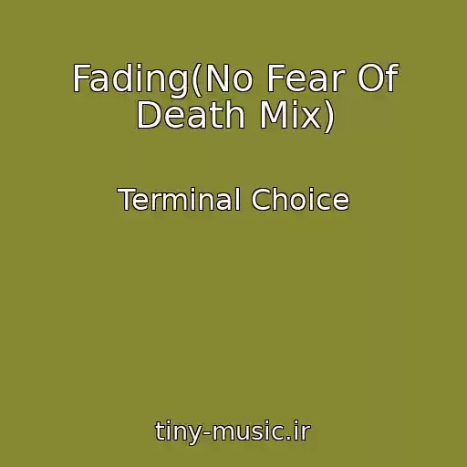 کاور آهنگ Fading(No Fear Of Death Mix) از Terminal Choice