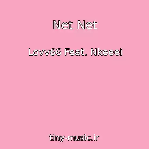 کاور آهنگ Net Net از Lovv66 Feat. Nkeeei