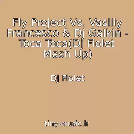 کاور آهنگ Fly Project Vs. Vasiliy Francesco & Dj Galkin - Toca Toca(Dj Fiolet Mash Up) از Dj Fiolet