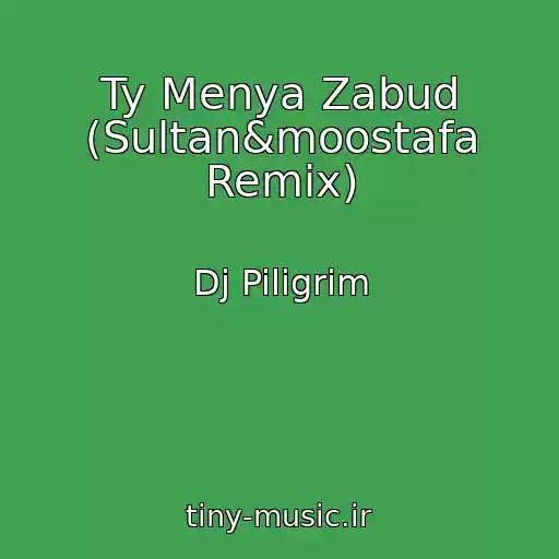 کاور آهنگ Ty Menya Zabud (Sultan&moostafa Remix) از Dj Piligrim