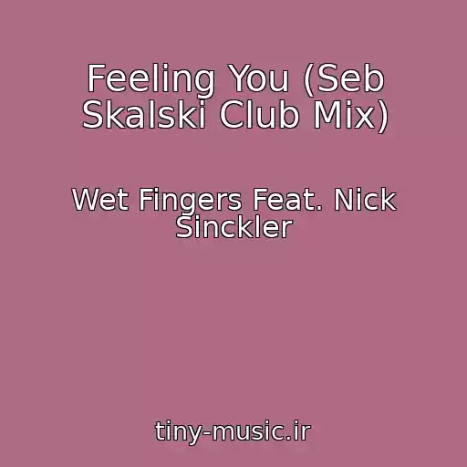 کاور آهنگ Feeling You (Seb Skalski Club Mix) از Wet Fingers Feat. Nick Sinckler