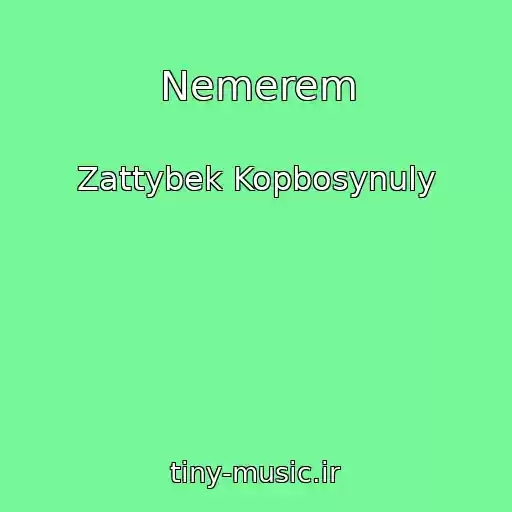 کاور آهنگ Nemerem از Zattybek Kopbosynuly