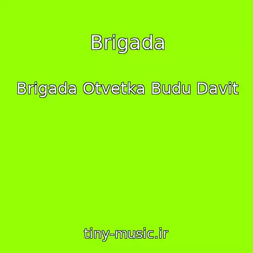 کاور آهنگ Brigada از Brigada Otvetka Budu Davit
